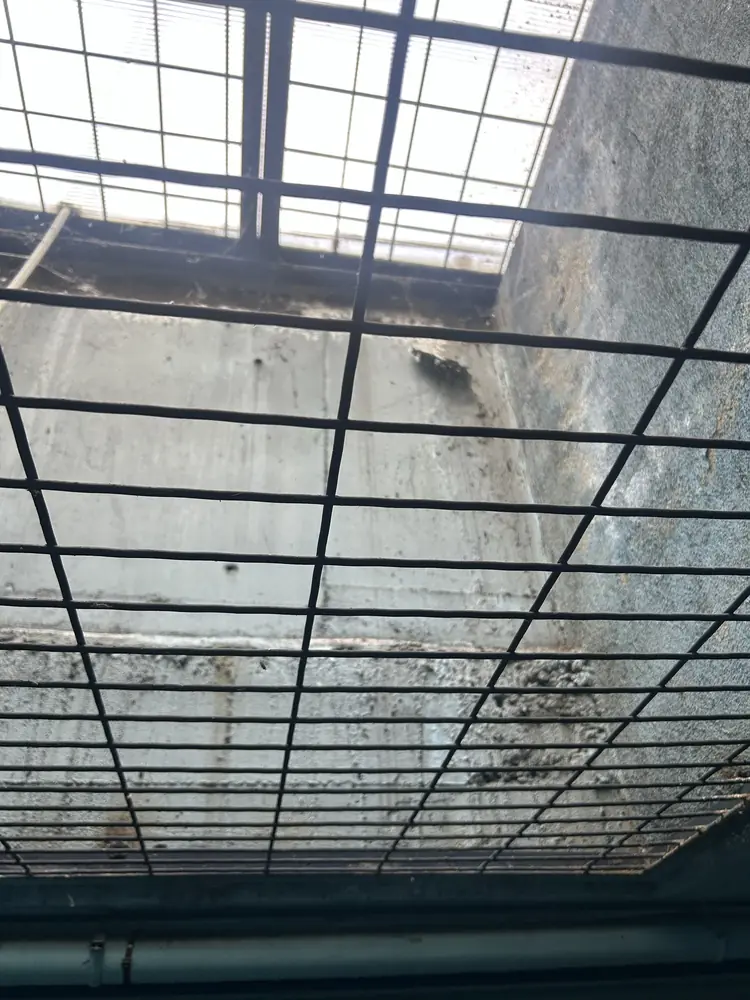 Lucernario sobre patio con canalización